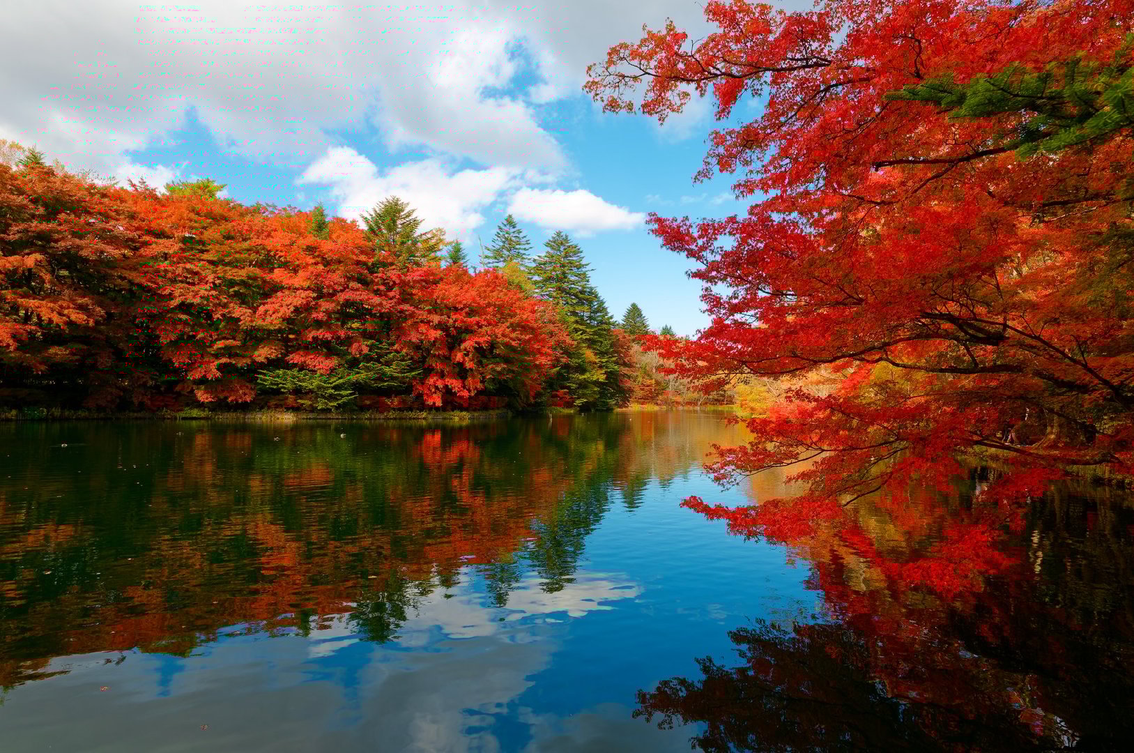 Autumn scenery of Kumoba-ike Pond surrounded by fiery maple trees, with fall colors reflected in the peaceful water
