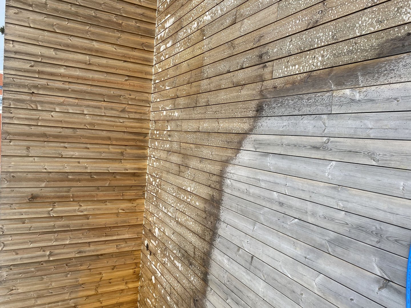 Trädäcksrengöring