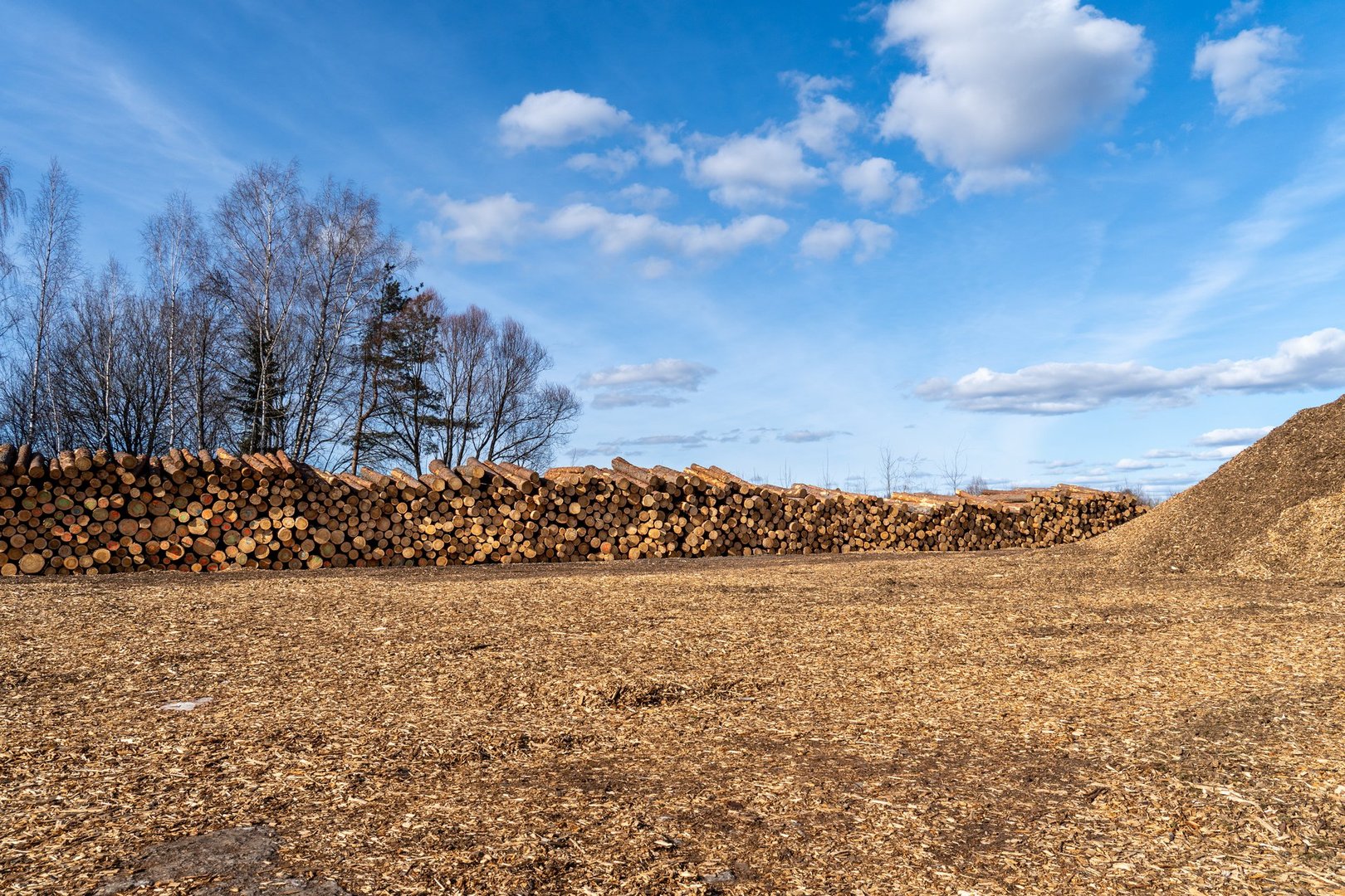 Stack of Timber Logs and Wood Chip Pile  Full Forestry Cycle from Logging to Biomass Production