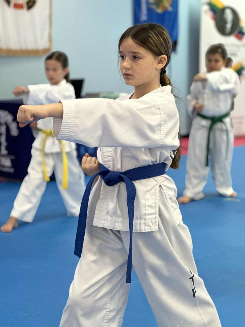 ITFA Taekwon-Do training