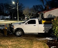 Professional landscaping work