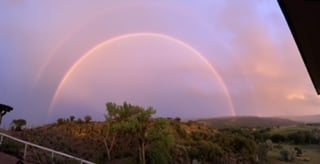 Desiree Hardin, Licensed Realtor specializing in Western Colorado properties