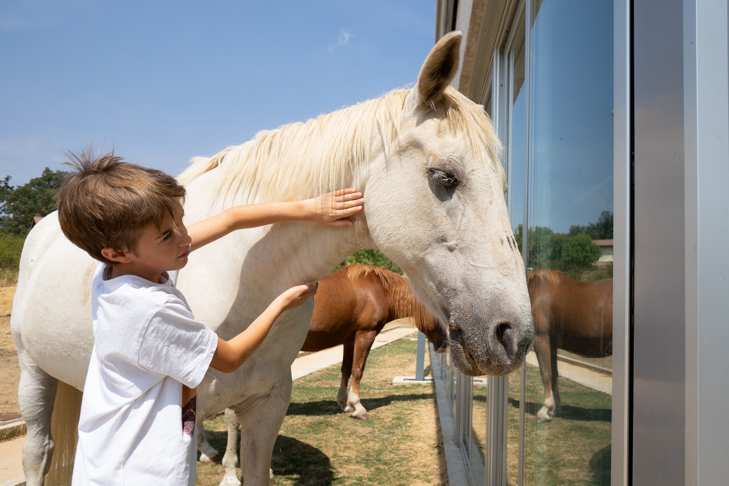 Kind aait paard op de manege