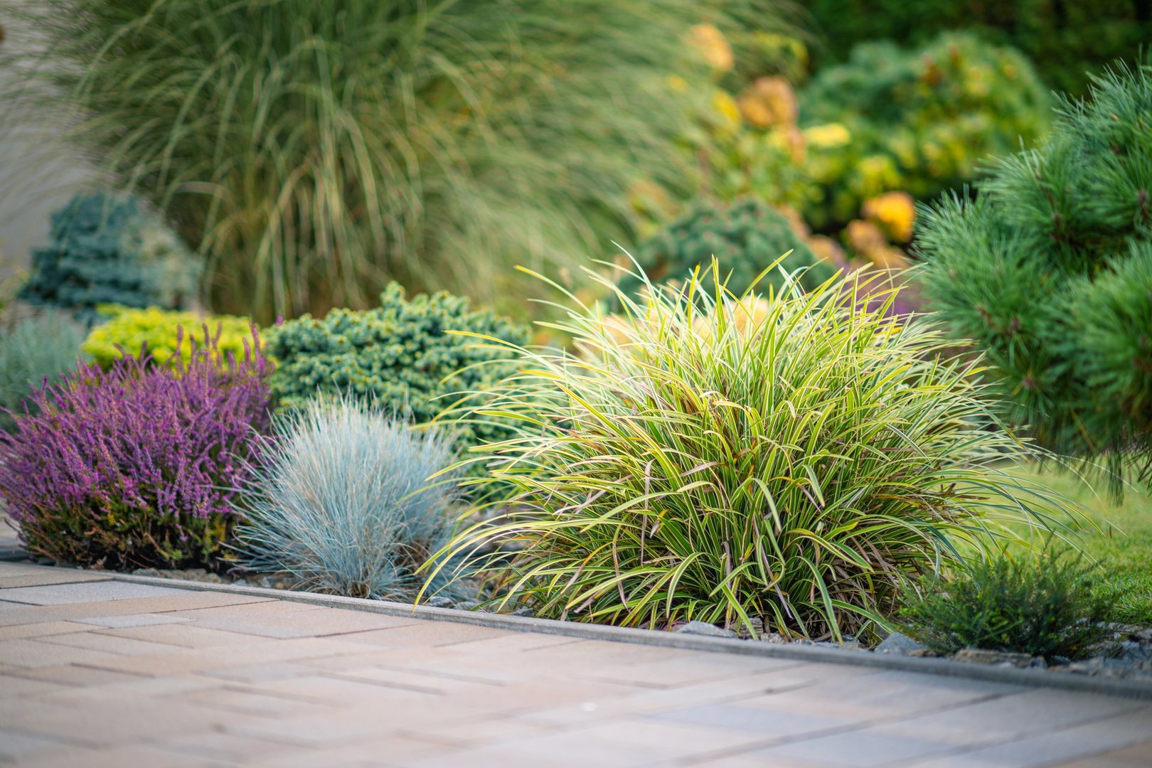 Lush garden beds display a variety of plants showcasing shades of green, purple, and blue. The well-maintained landscaping includes ornamental grasses and shrubs, providing texture and visual interest.