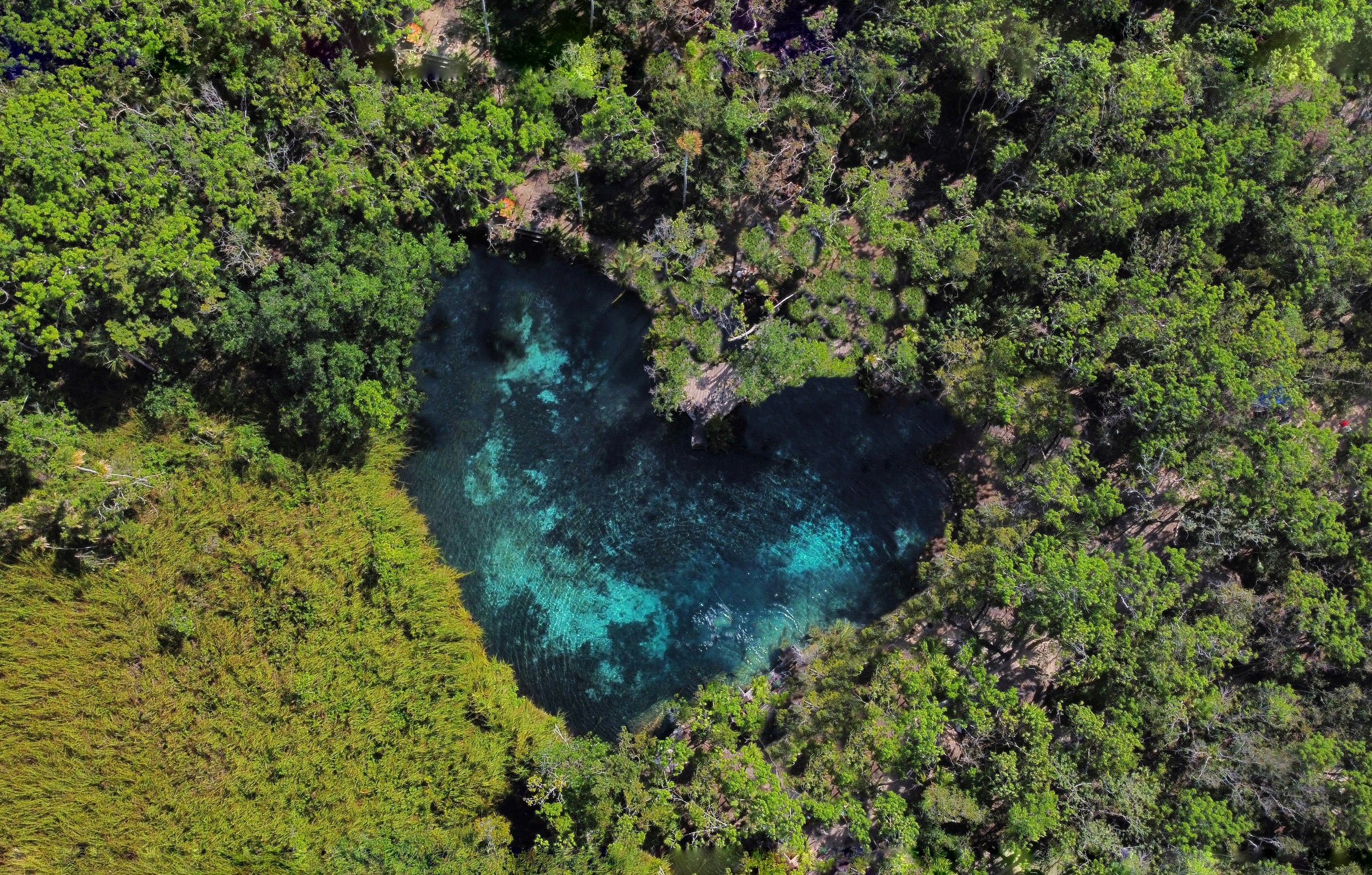 Experiences in Mexico – Authentic Adventure and Culture: Aerial view of Cenote Corazón near Tulum, heart-shaped natural pool surrounded by lush Riviera Maya jungle with crystal-clear turquoise waters perfect for swimming and snorkeling