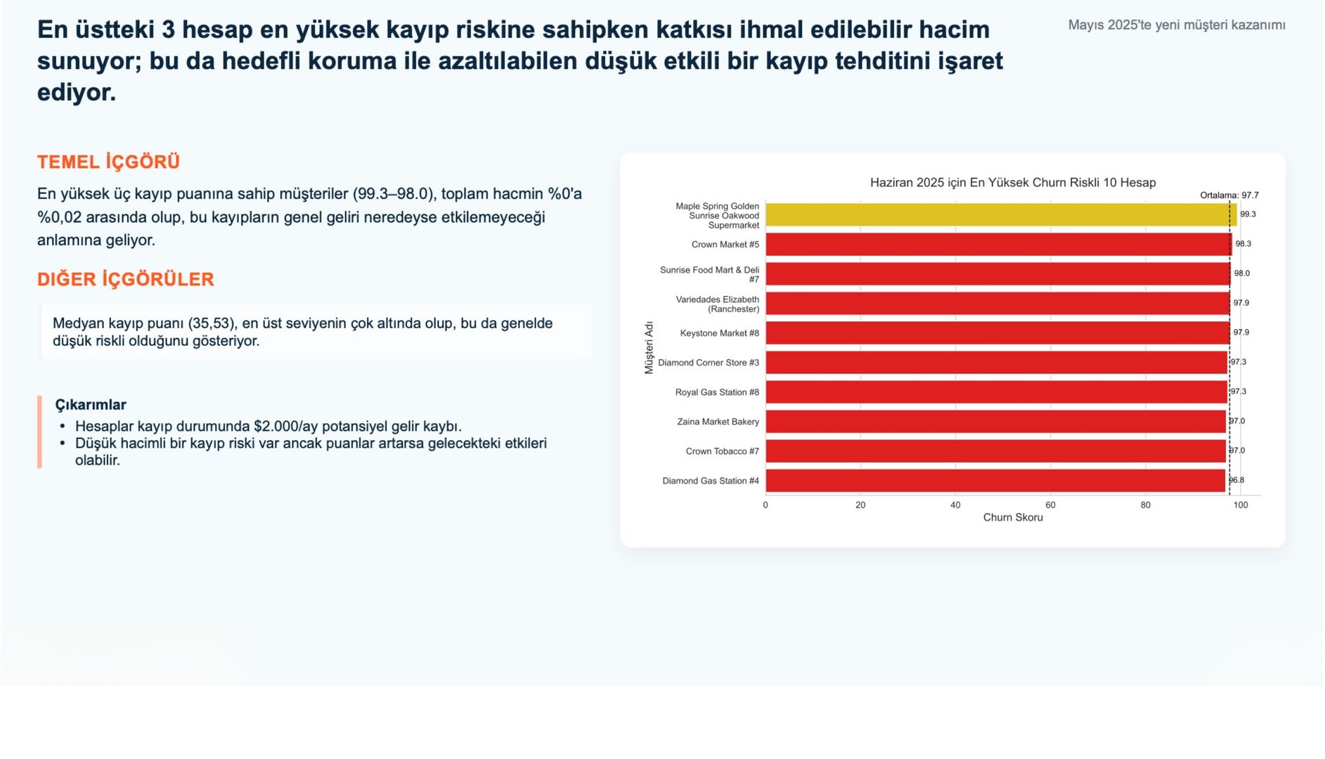 NovatekCloud AI Rapor Örneği 13