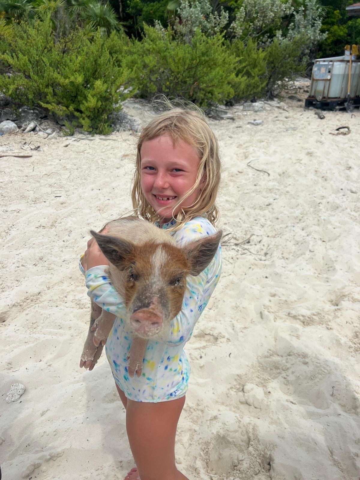 A young girl on a sandy beach holds a small brown and white piglet, surrounded by greenery and beach equipment.