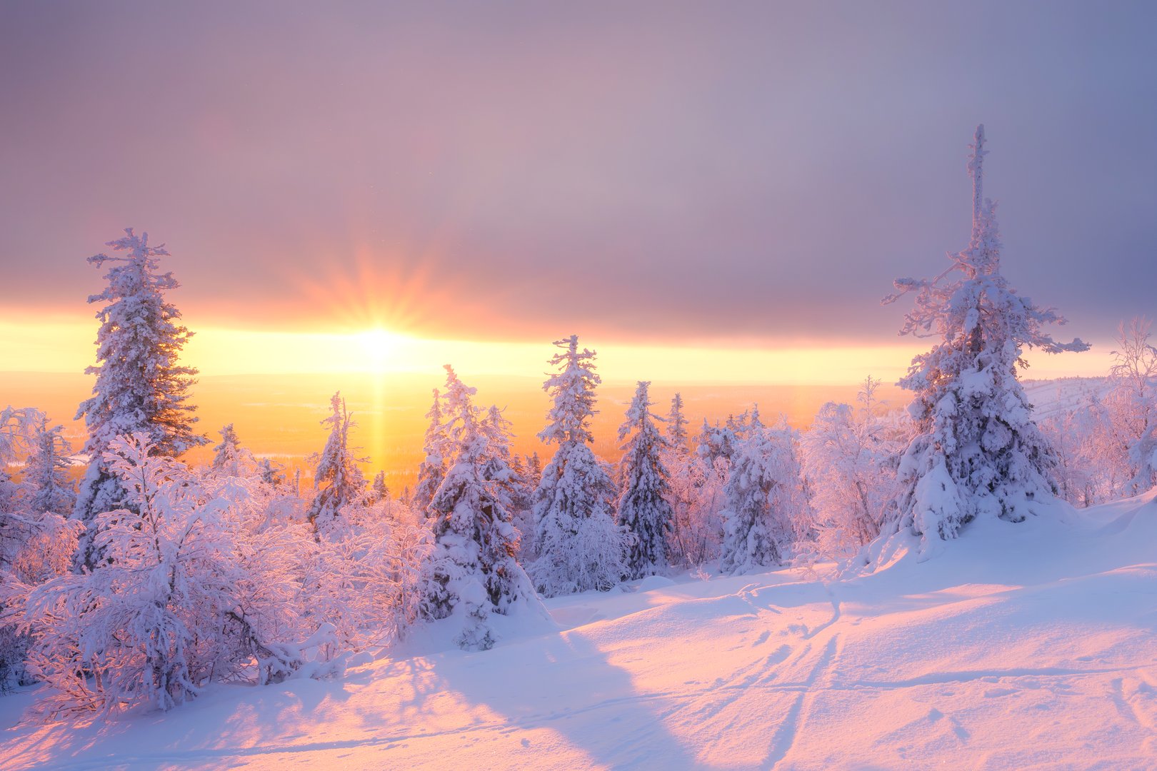 Winter landscape during sunset. Trees covered with snow. Sun rays through the trees. Lapland, Finland. Winter wonderland. Scandinavian countries. Background, wallpaper, postcards