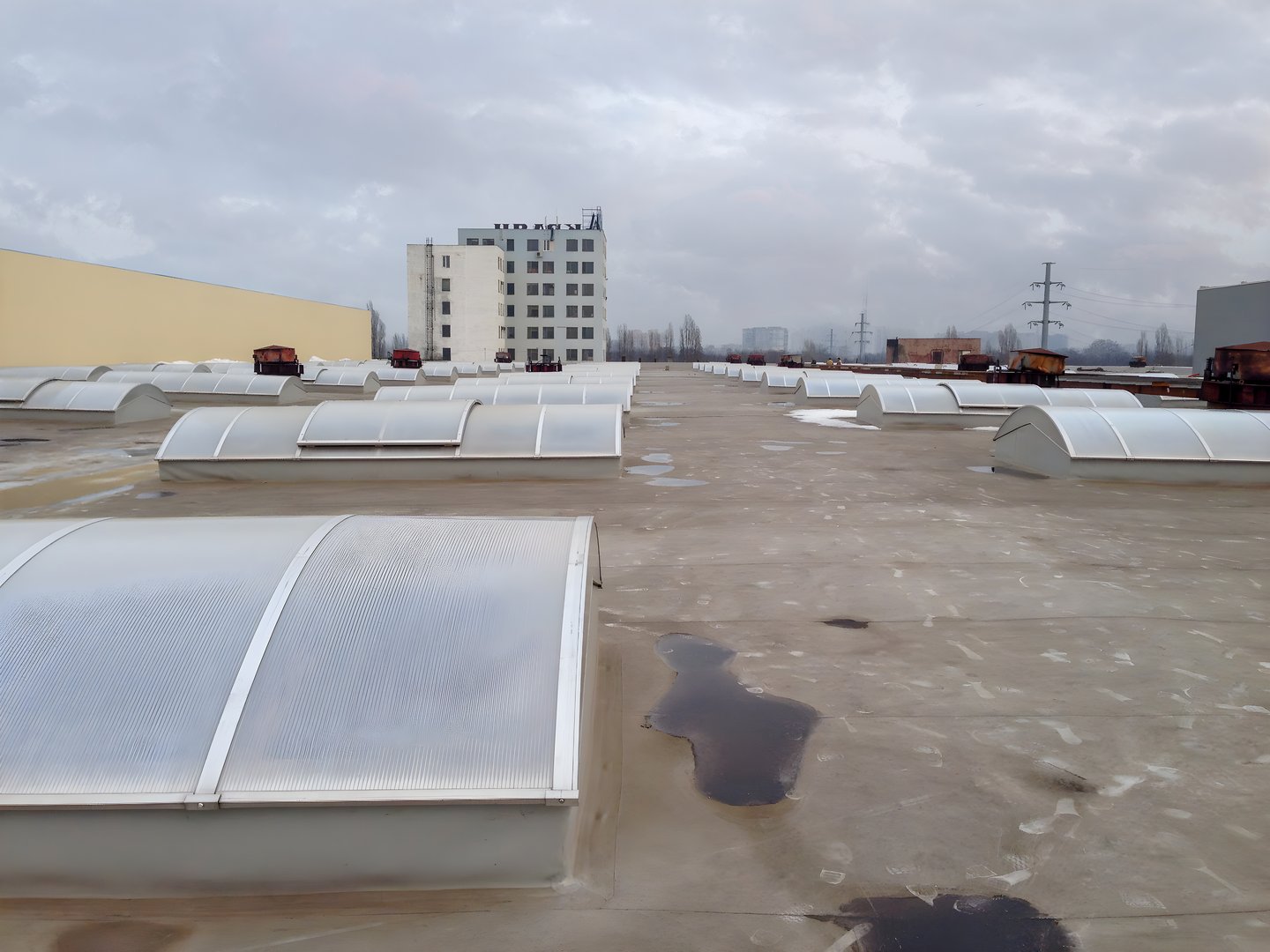 The image captures a rooftop with numerous skylights, set against a backdrop of industrial buildings under an overcast sky, creating a sense of urban landscape.