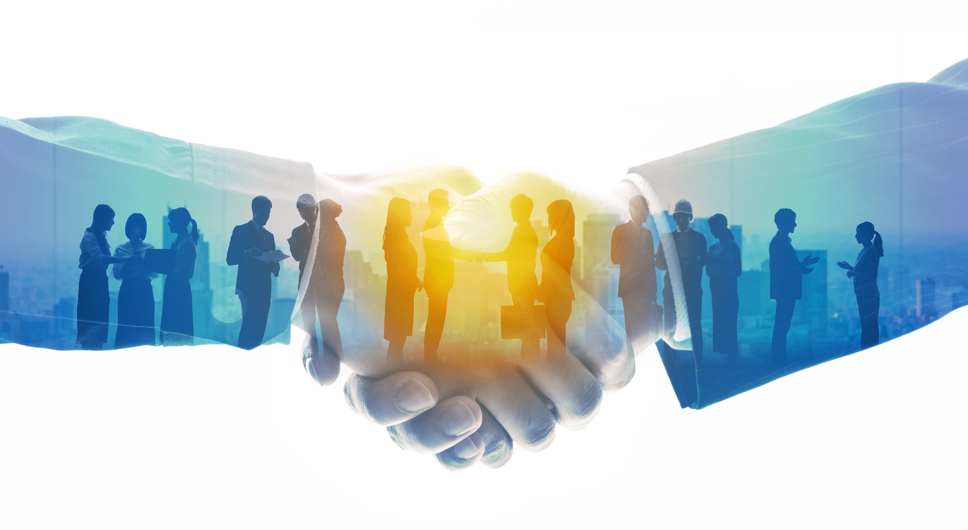 CFO's role in business dynamics