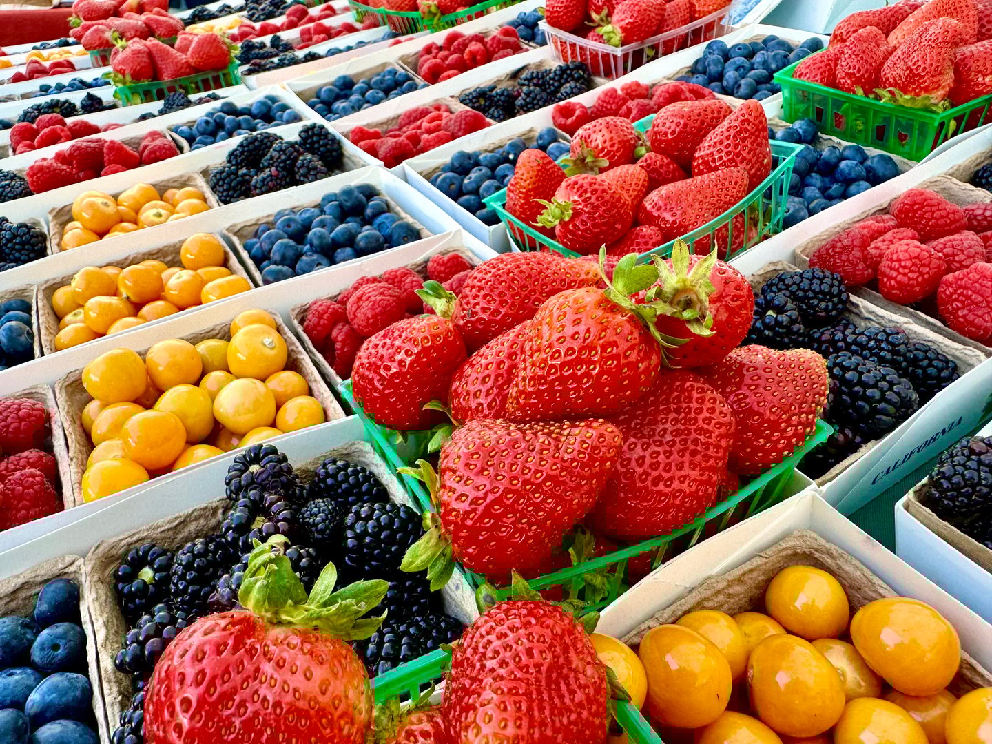 Fresh berries at a farmers market stretch to the distance. Strawberries, blackberries, raspberries, blueberries, and gooseberries look delicious and ready to eat with vibrant colors.