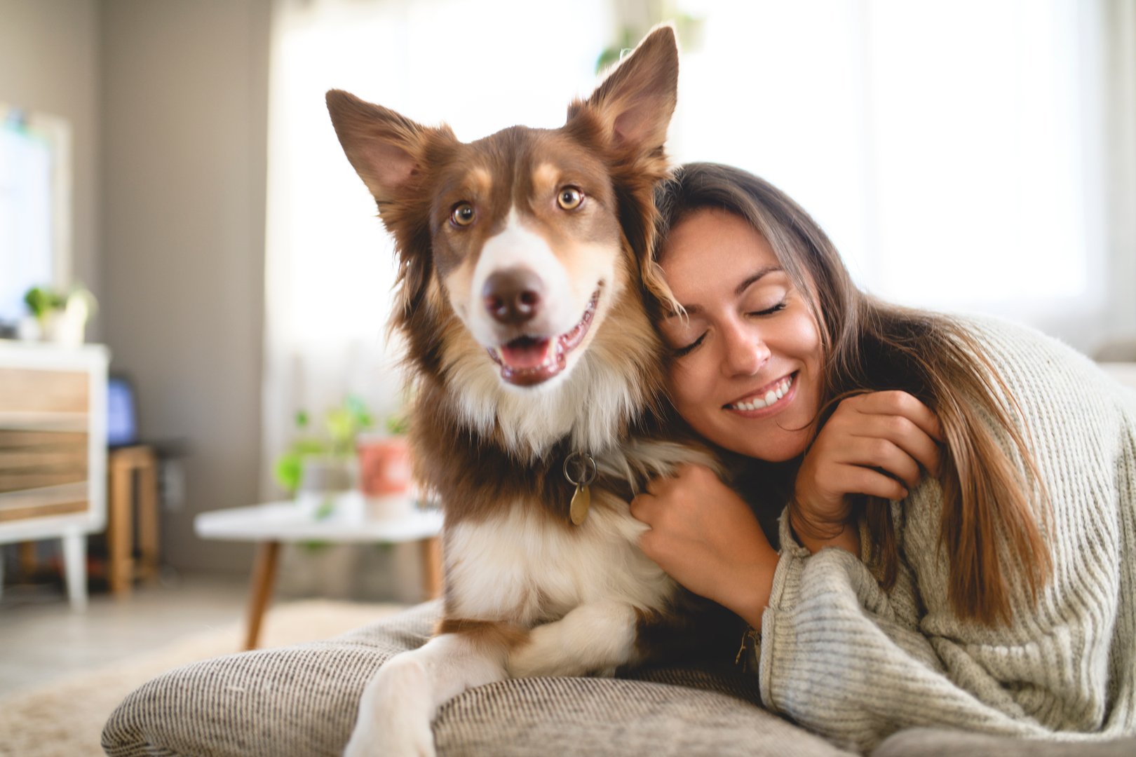 A woman with cute fluffy Australian Shepherd dog at home in living room