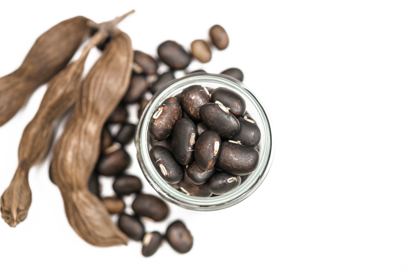 The seeds of Velvet bean or Mucuna pruriens have been used for traditional medicine, selective focused, over white background with copy space