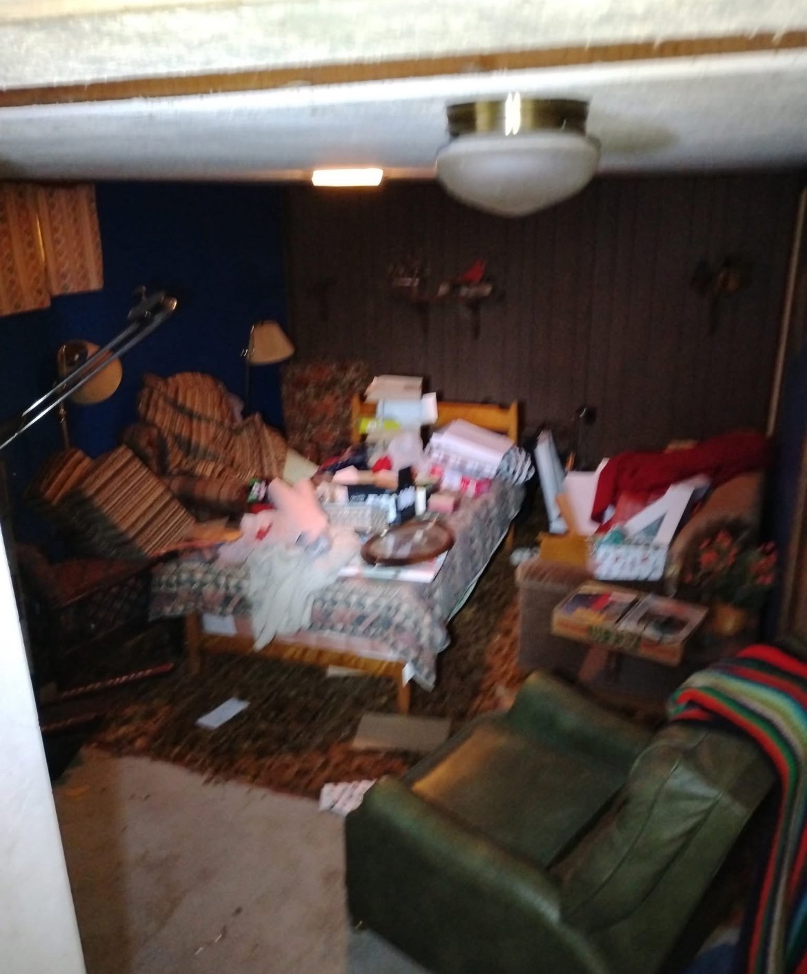 Junk removal project