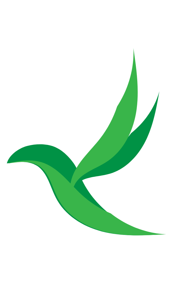 Bold En Business, Inc. Logo