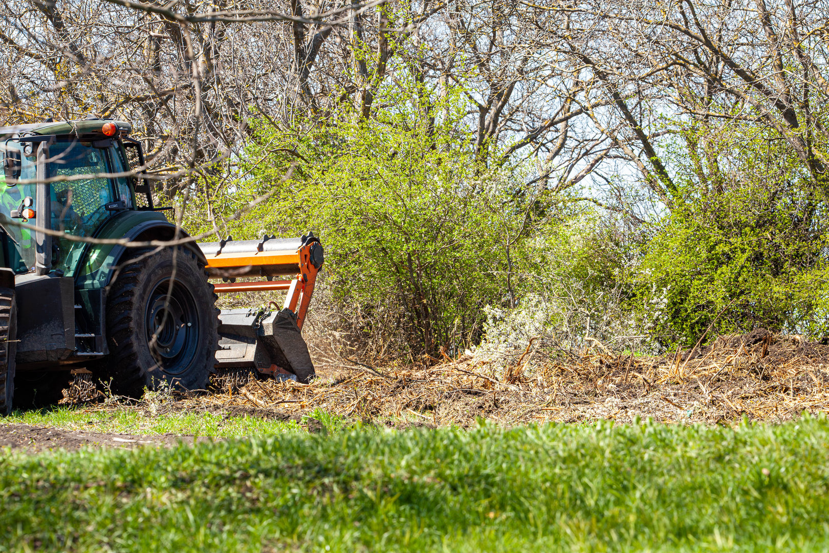 Forestry industry with a brush cutter in action in a forest of young pines . High quality photo