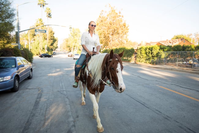 Horse community street riding