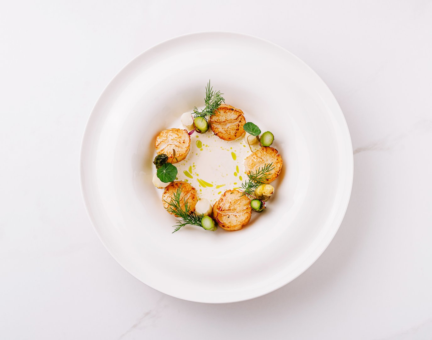 Delicate scallops are arranged beautifully around a creamy base, garnished with fresh herbs and greens, showcasing modern culinary artistry in an elegant dining setting.