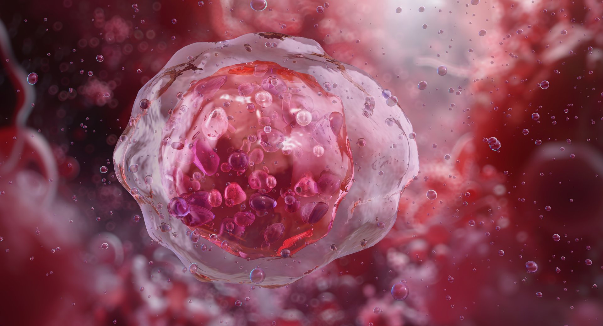 Myeloblast, an immature precursor cell of granulocytes found in bone marrow. Early stage of myeloid white blood cell development, nucleus, scant cytoplasm. Hematopoiesis, cellular biology science, 3D illustration