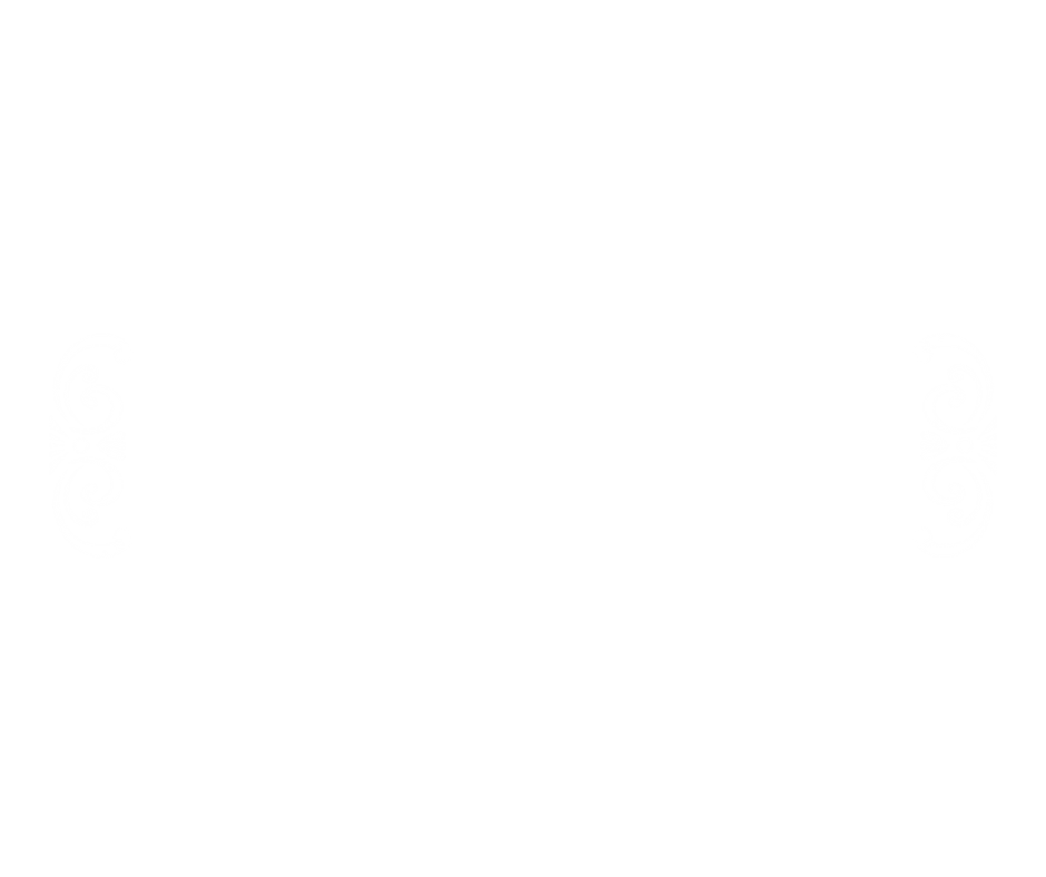 Struis Groningen Logo