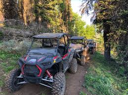 RZR side-by-side off-road vehicle