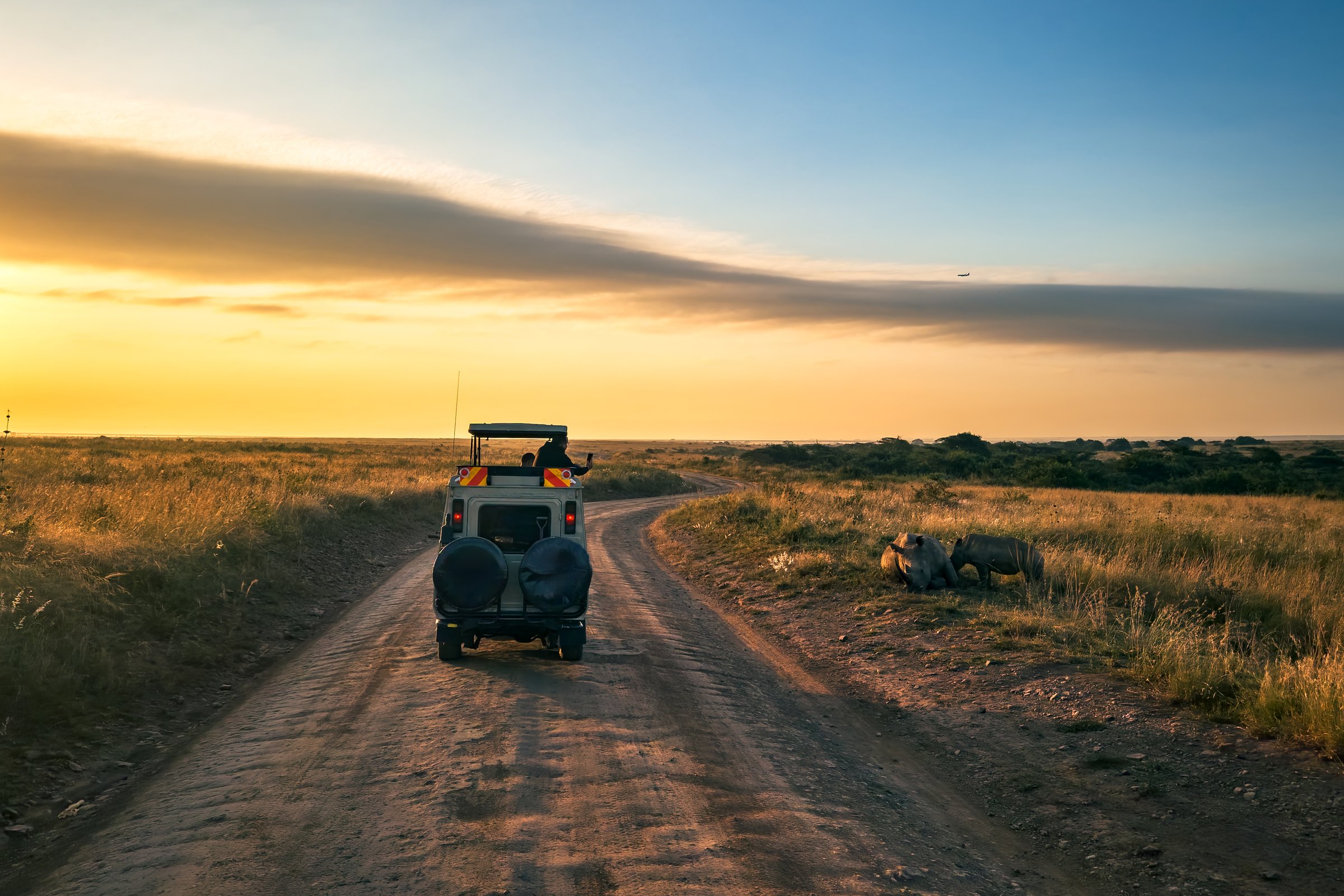 Tourists in a safari vehicle taking photos
