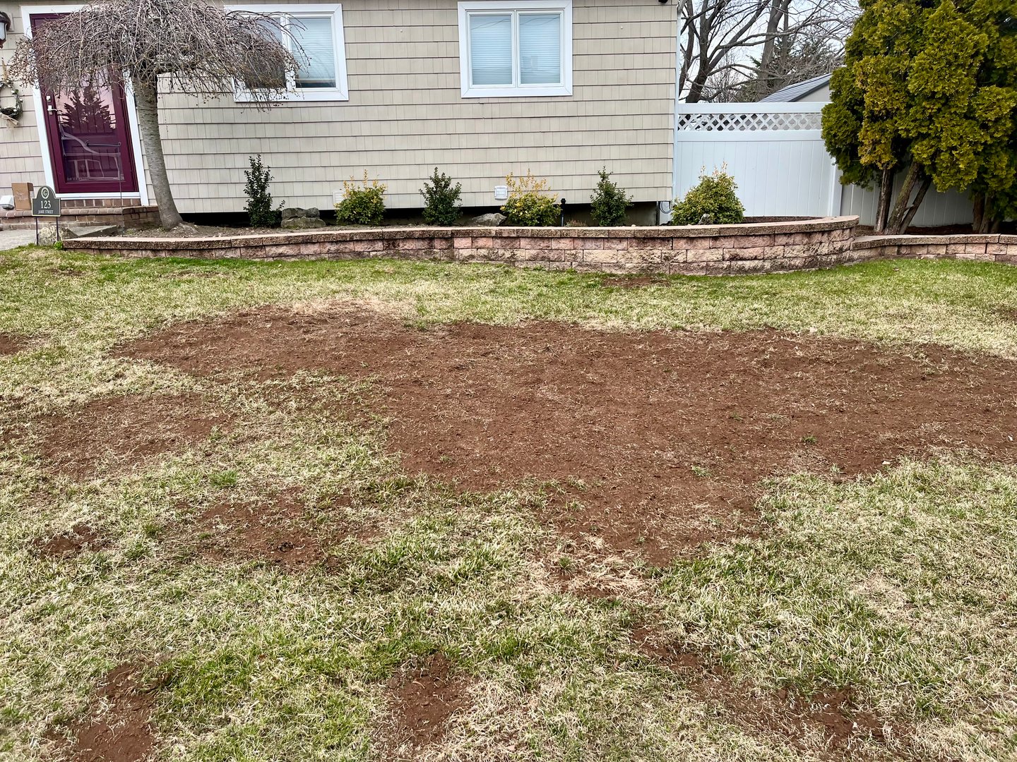 Lawn reseeding