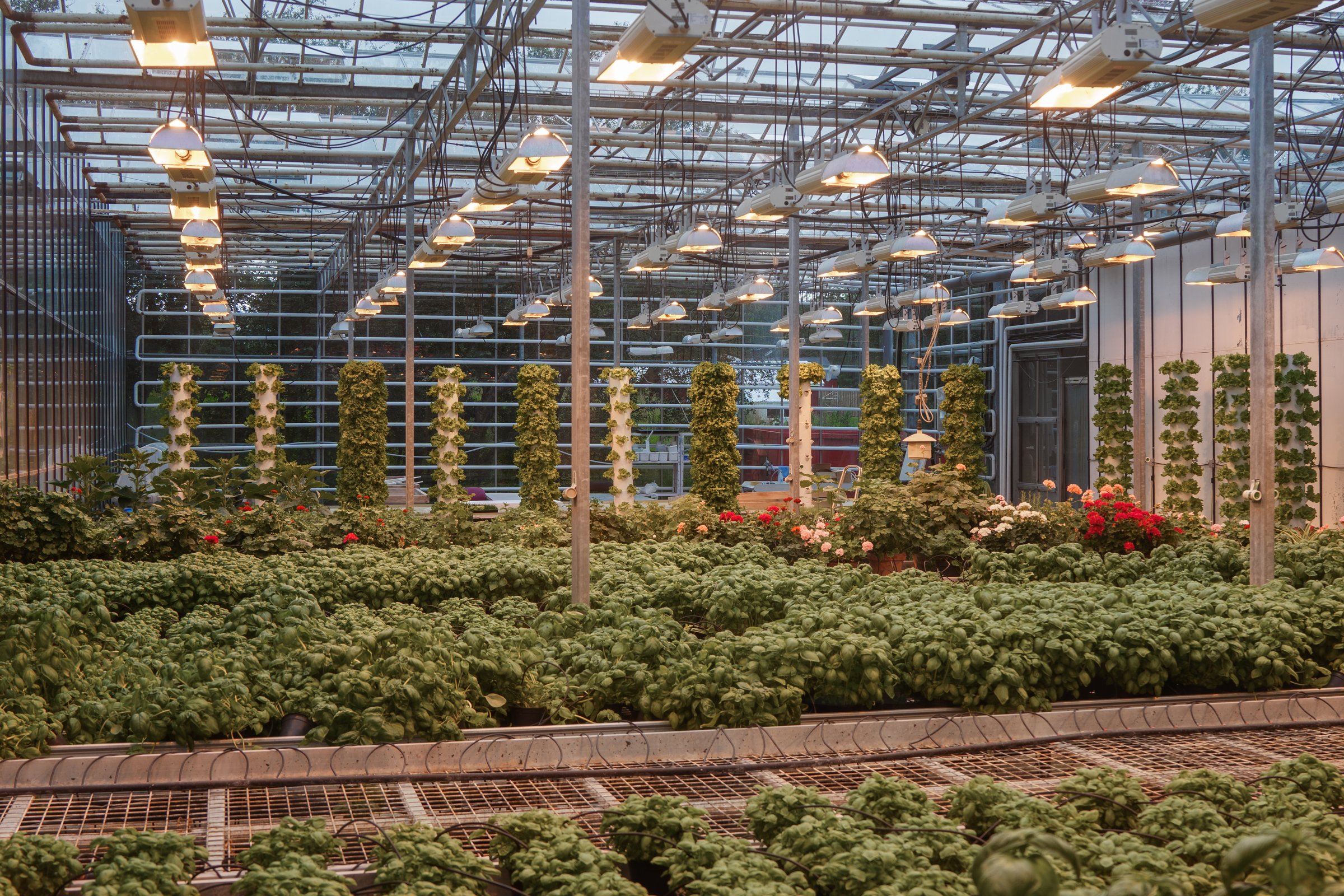 Various herbs and plants growing in a controlled greenhouse environment at Fridheimar. The greenhouse features vertical and horizontal growing systems with artificial lighting to support plant growth.