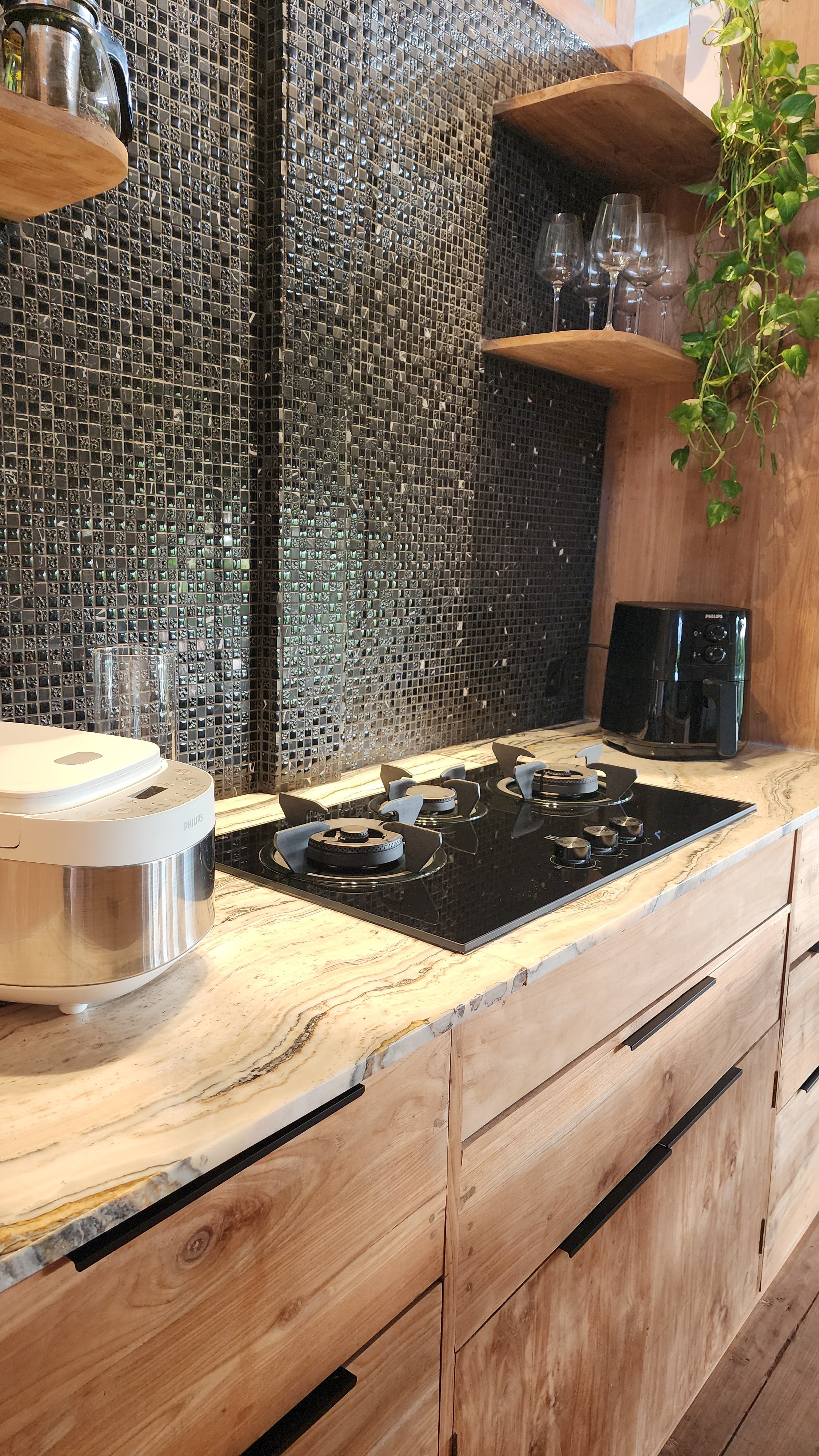 Modern kitchen with a gas stove on a marble countertop, wooden cabinets, a rice cooker, and greenery on shelf.