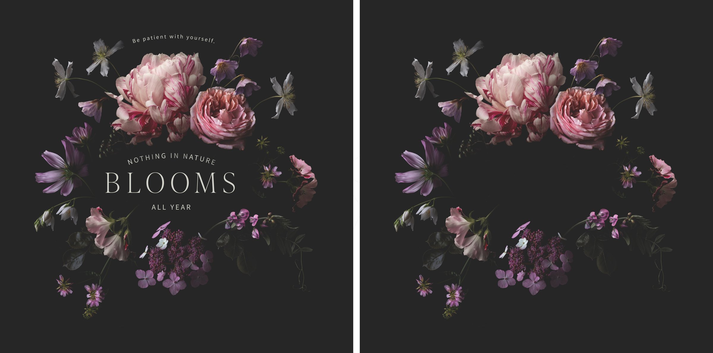 inspirational quote on patience surrounded by lush flowers (peony, rose, hydrangea) against a dark background and blank / empty floral frame or wreath as a design element with copy space for your own text