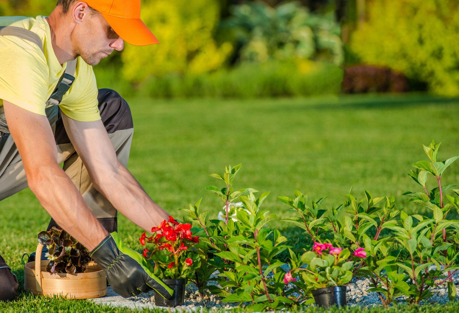 Caucasian Gardener Planting New Flowers in the Backyard Garden.