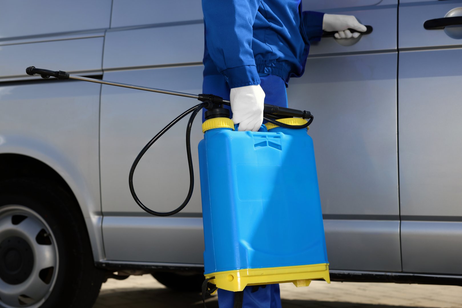 Bed bug treatment services