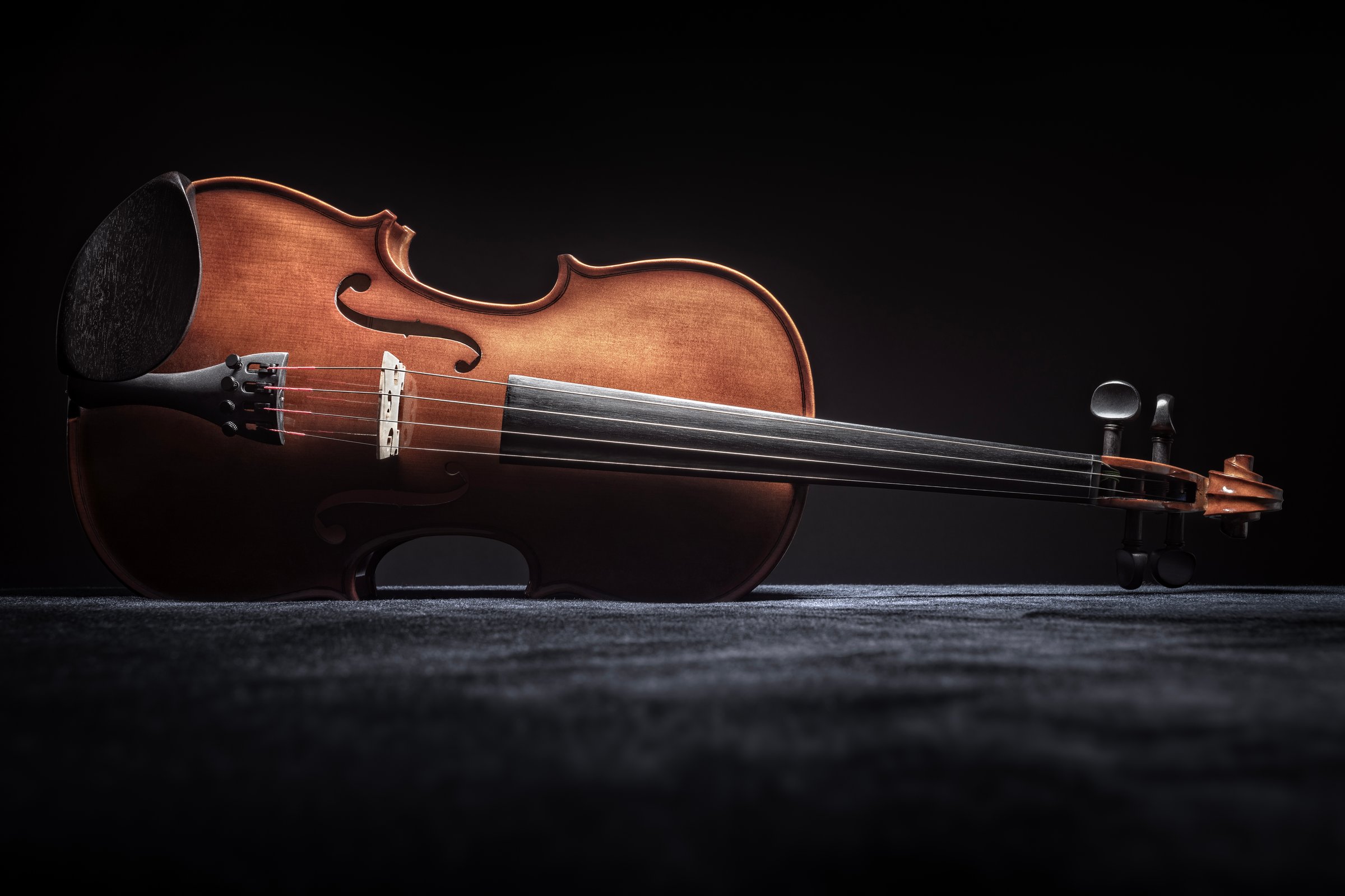 Violin on dark black background for music concept