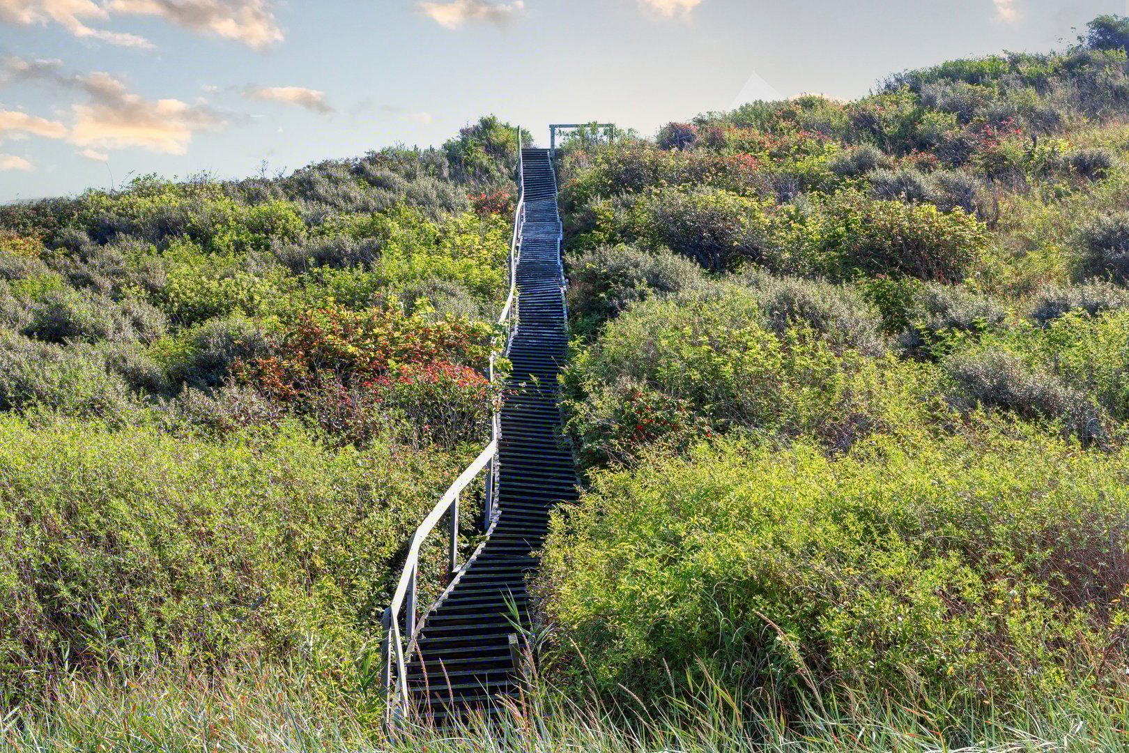 Wooden stairs leading up the mountain to the sky among green trees