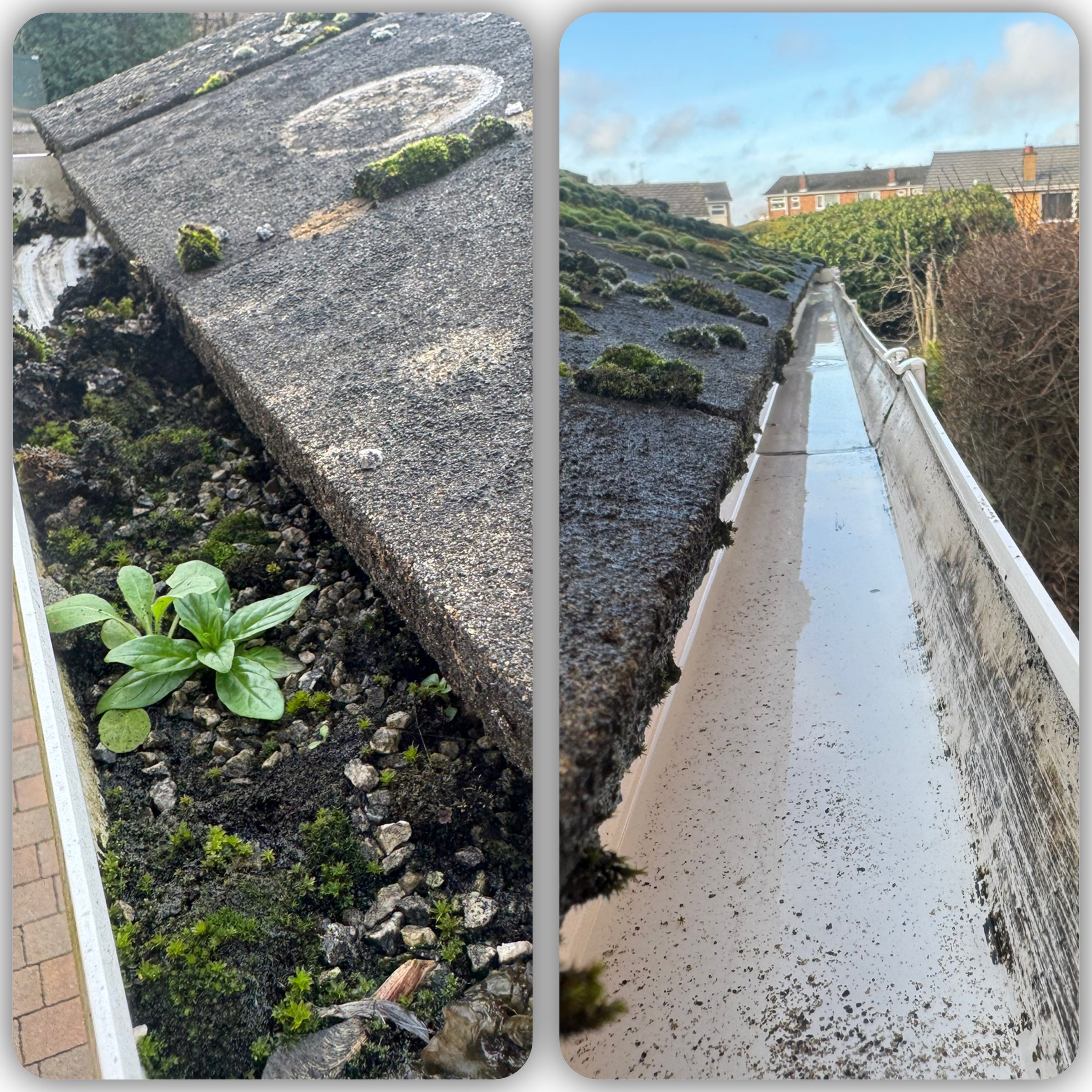 Gutter cleaning before and after transformation