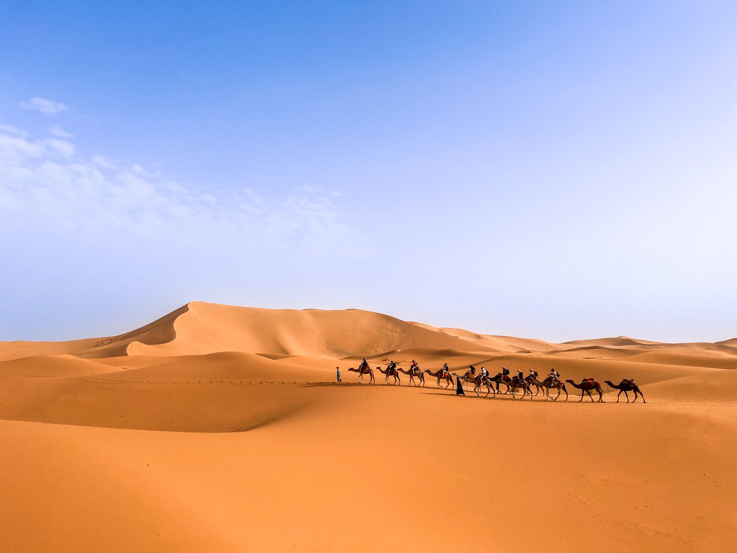 Sahara Desert Camel Expedition