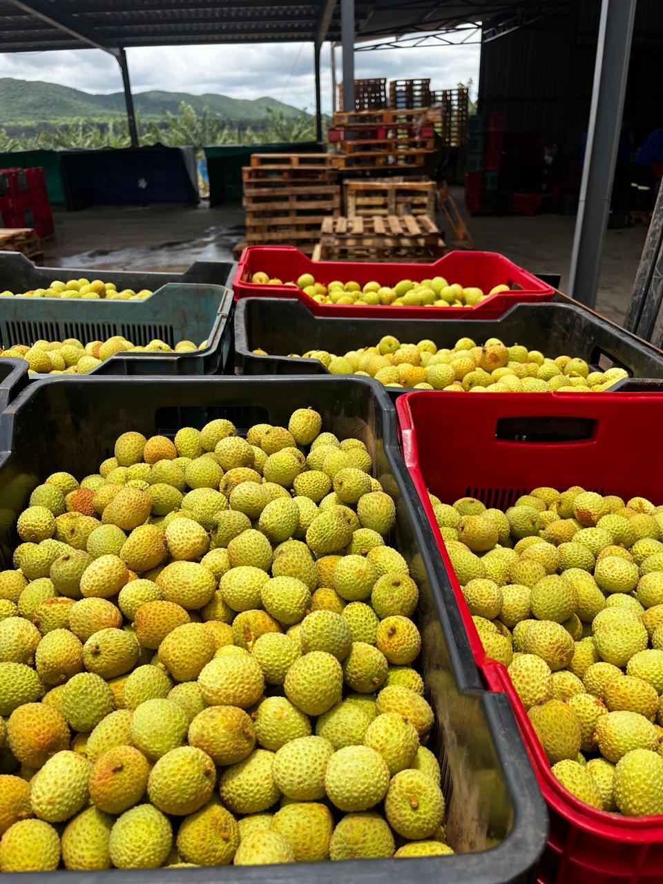 Agriculture operations