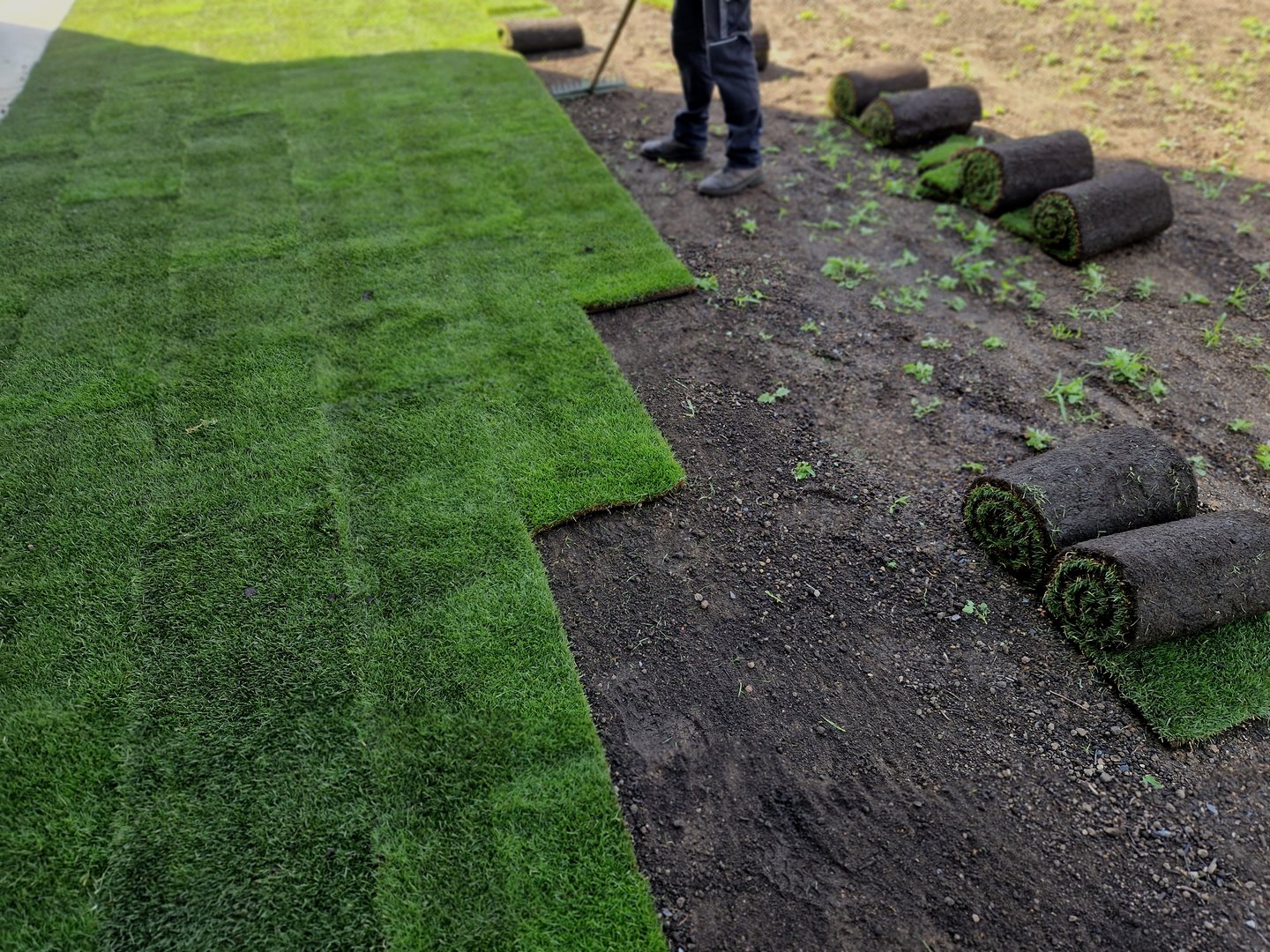 Professional turf installation