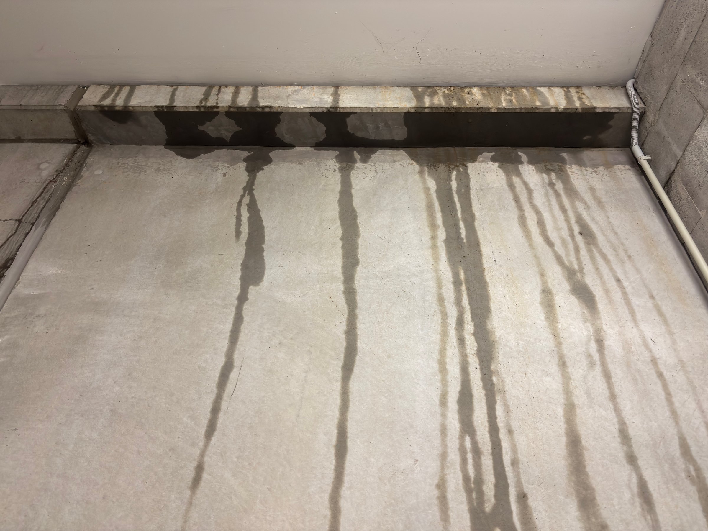 Water damage on basement wall