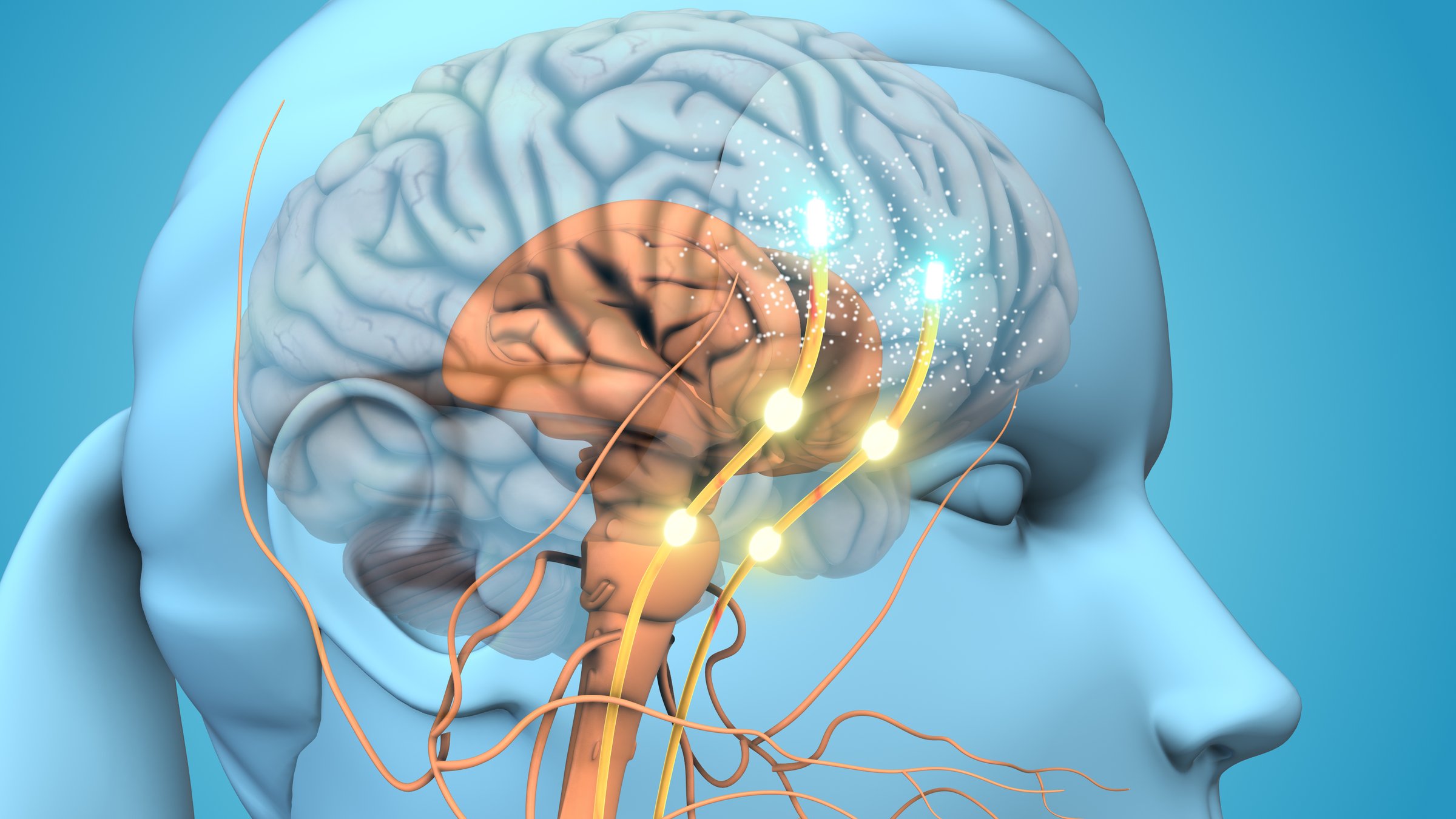 Dopamine is a type of monoamine neurotransmitter. It's made in your brain and acts as a chemical messenger, communicating messages between nerve cells in your brain and your brain and the rest of your body.