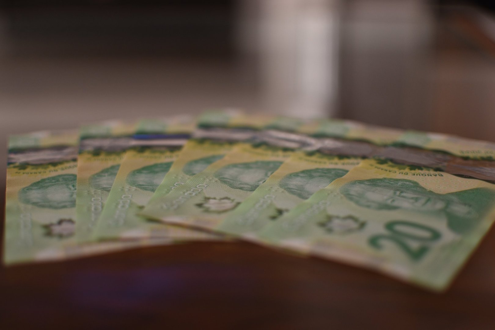 20 Dolar Canadian Bills