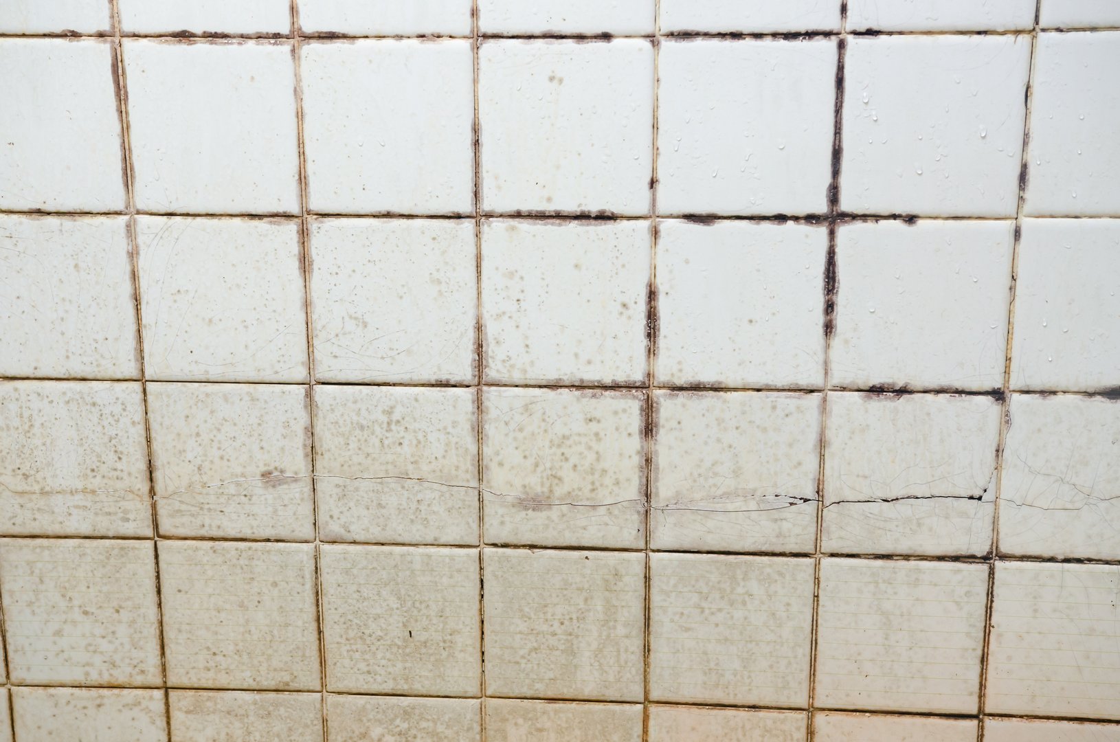 The tiles have mold stains in the grooves.