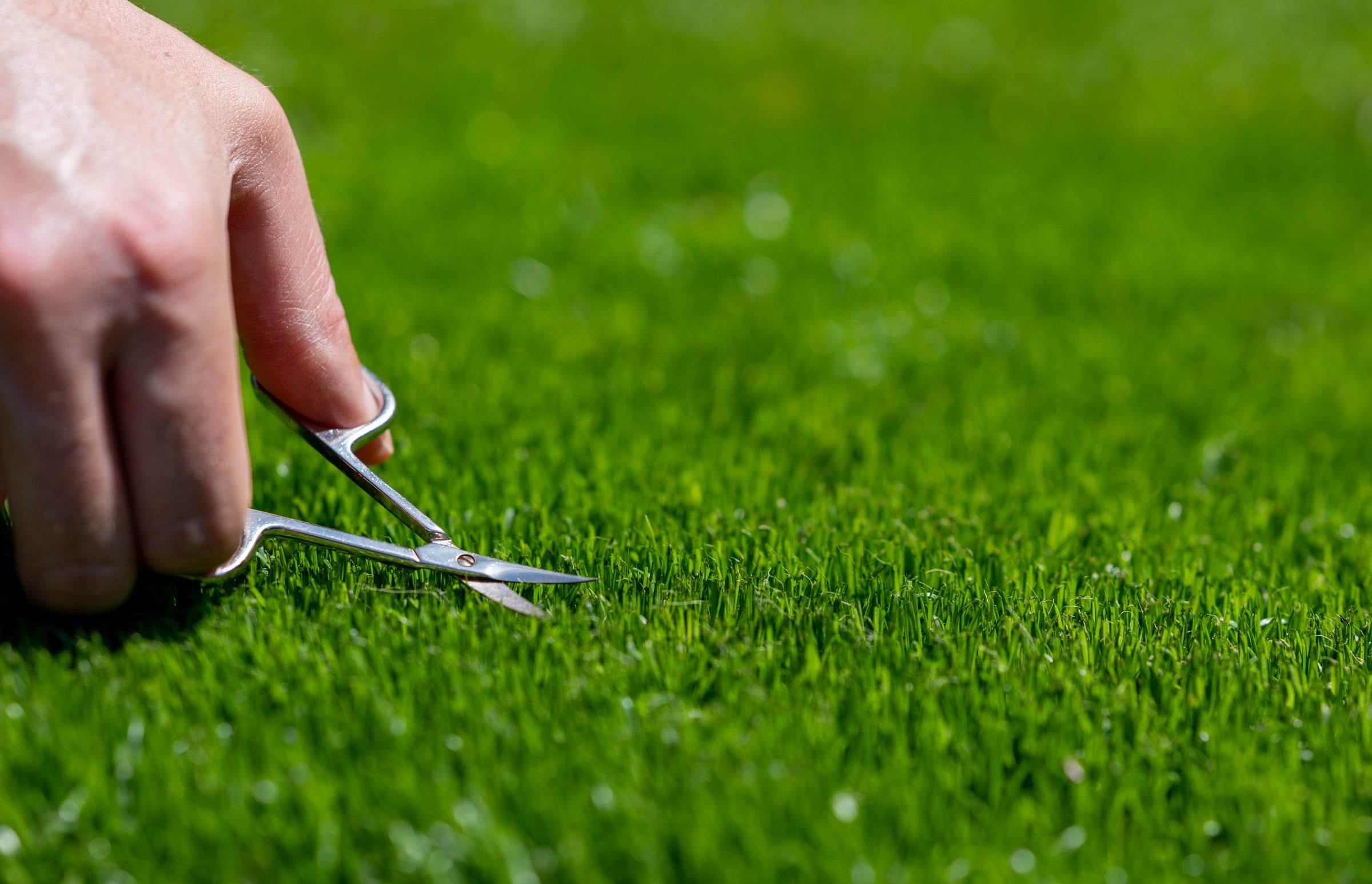 Symbol for a perfectionist who cuts the lawn with small scissors.
