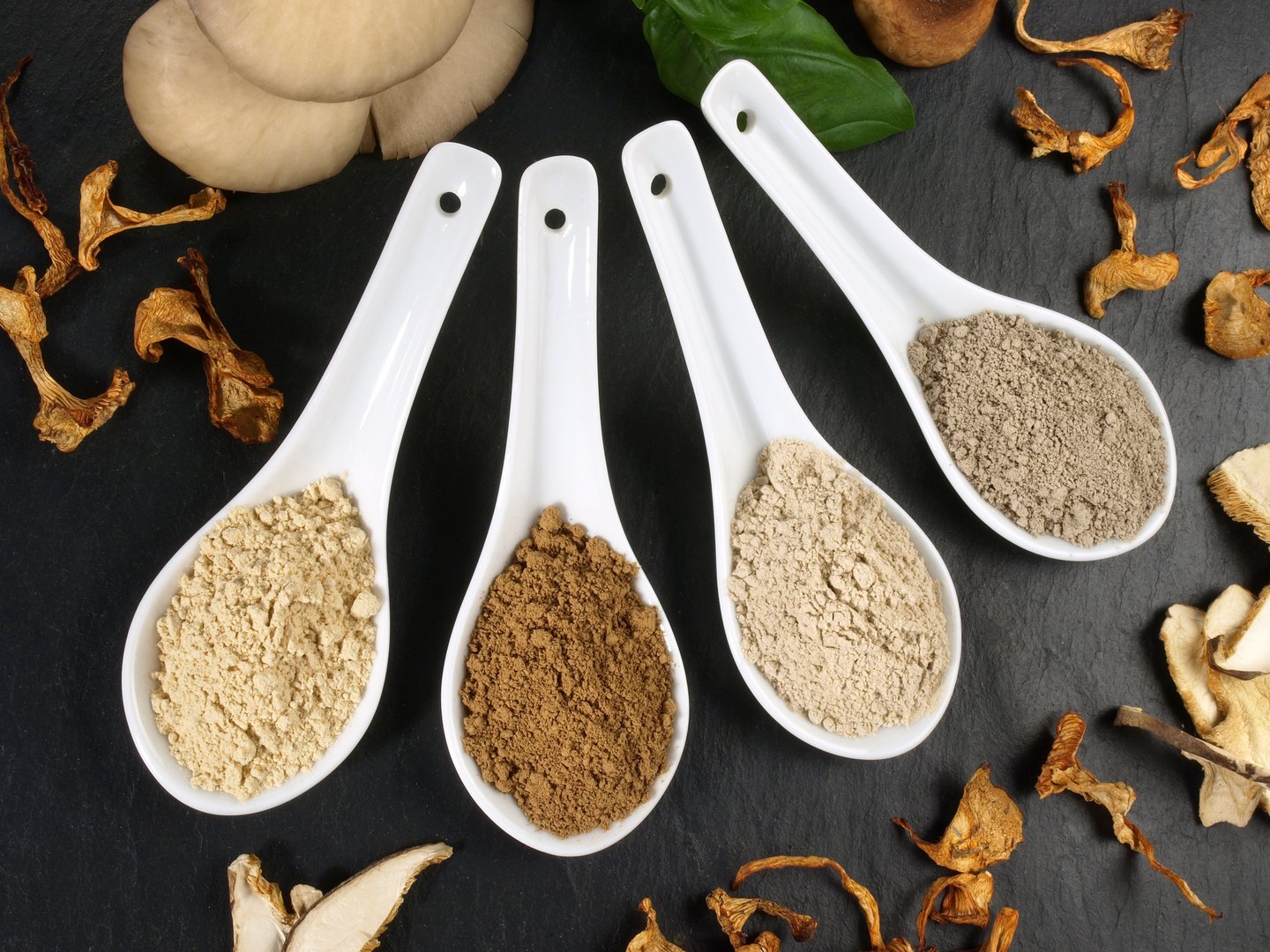 Medicinal Mushrooms - Healthy Nutrition