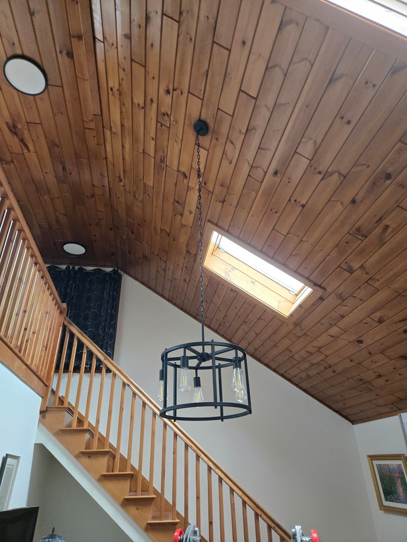 Light fixture before