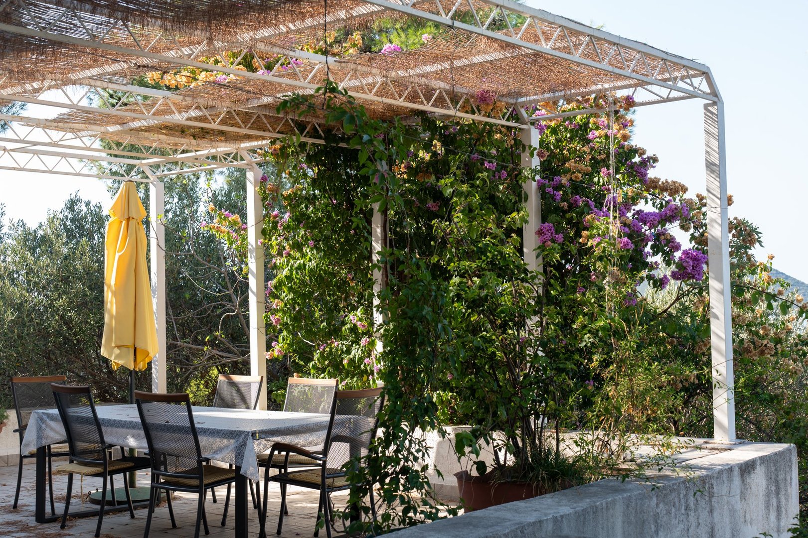 Charming outdoor dining area with table and chairs under pergola covered in lush green plants and blooming flowers on sunny day. High quality photo