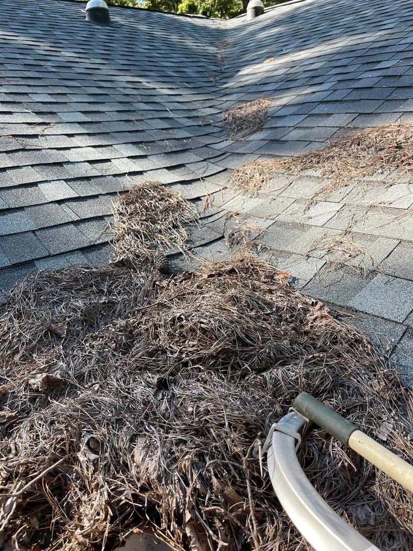 Before pressure washing