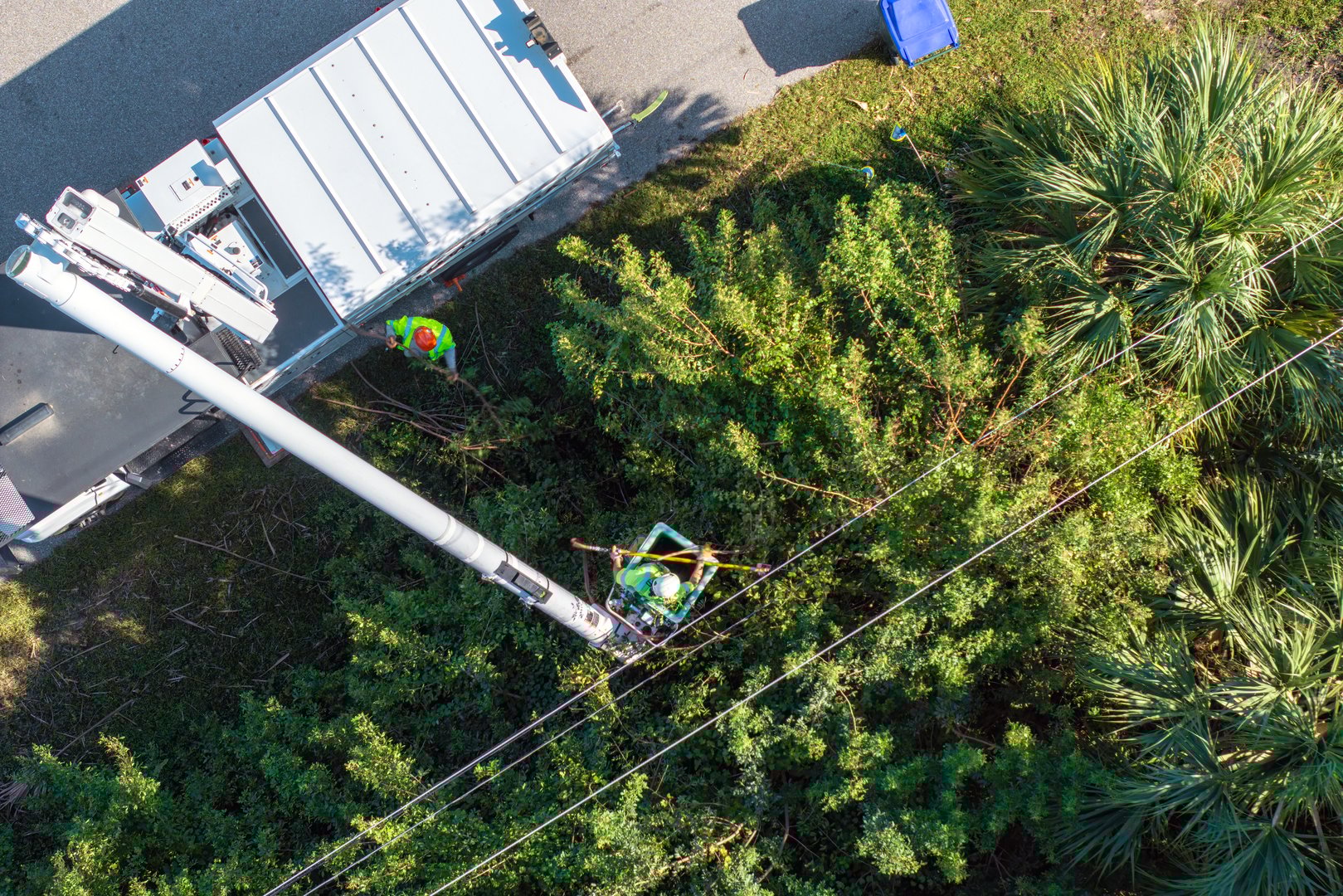 Technician worker cutting tree branches from the electrical power cable area to reduce power outages.