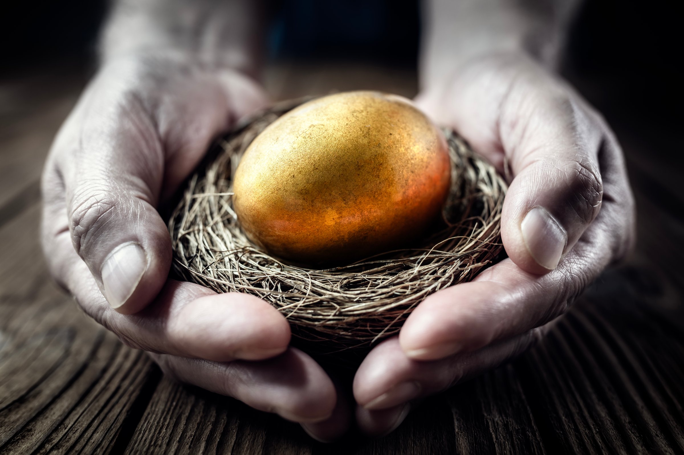 Golden nest egg in a mans hand