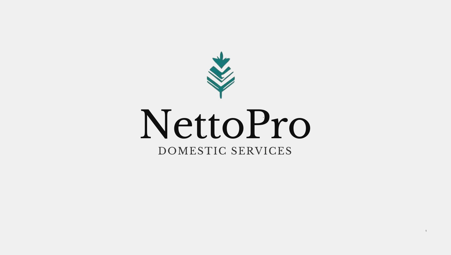NettoPro Logo